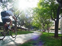 Carril bici Av. Jaume I - 002