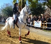 Este diumenge festa de Sant Antoni a l'av. Generalitat Valenciana