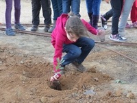 Plantació realitzada per l'alumnat del CP Baladre