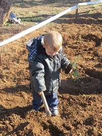 Plantació AMPA Baladre