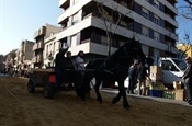 Festa Sant Antoni 2012 P1157807