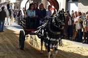 Festa Sant Antoni 2012 P1157853