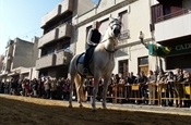 Festa Sant Antoni 2012 P1157854