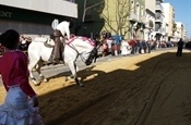 Festa Sant Antoni 2012 P1157873