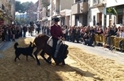 Festa Sant Antoni 2012 P1157894