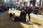 Festa Sant Antoni 2012 P1157895