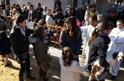 Festa Sant Antoni 2012 P1157929