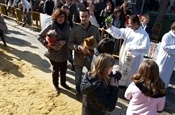 Festa Sant Antoni 2012 P1157940