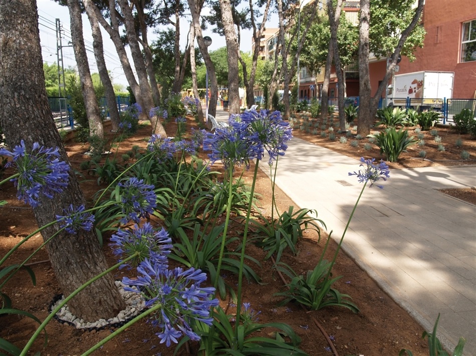 enjardinamentjaumei enjardinamentjaumei