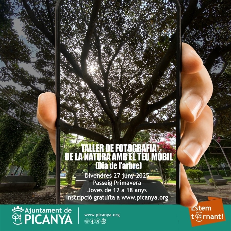 taller_fotografia_arbres