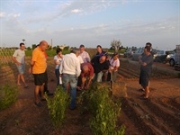 Visita Pepe García Horts de LLoguer _ 002