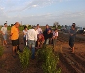 Visita Pepe García Horts de LLoguer _ 002